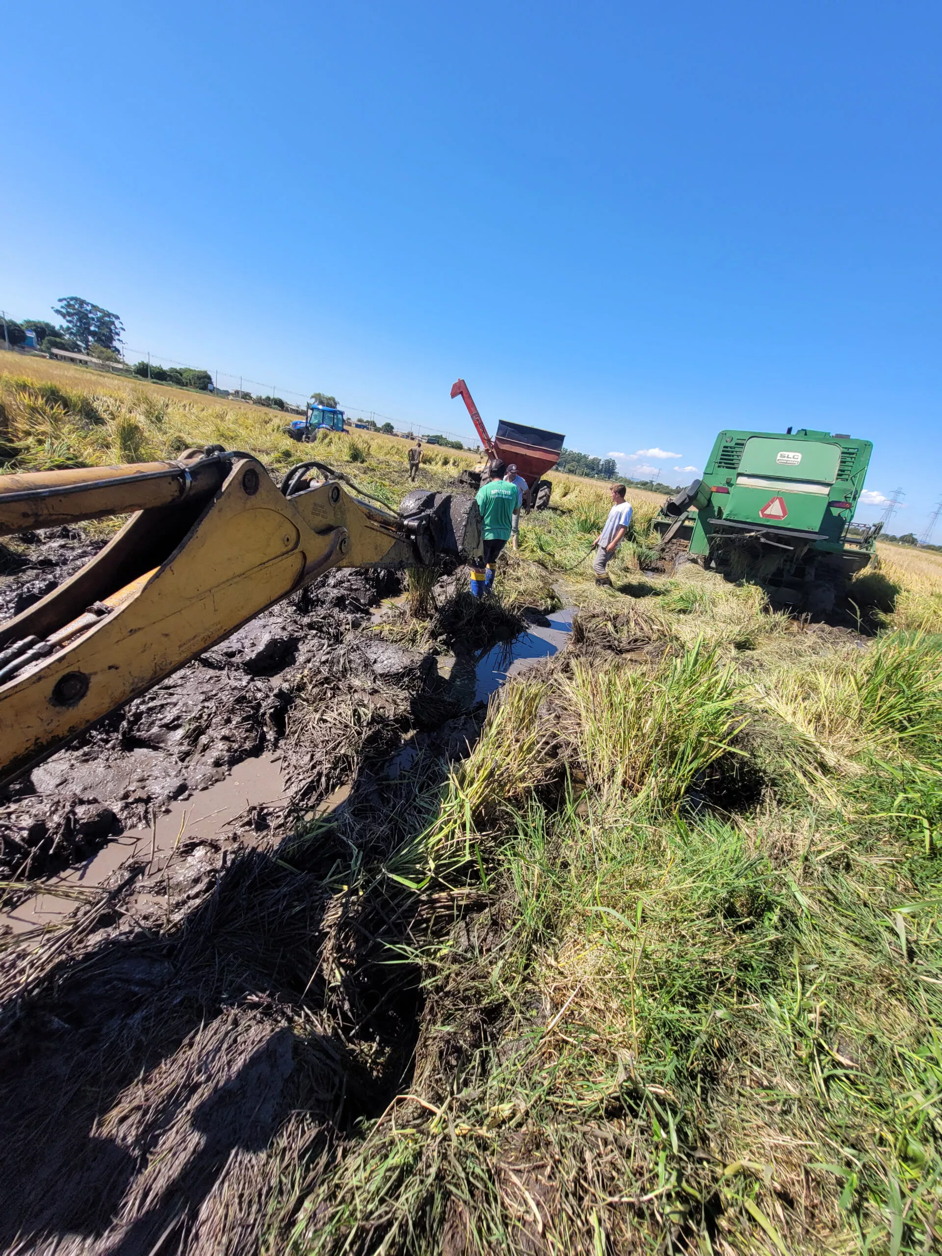 Terratrans Terraplanagem